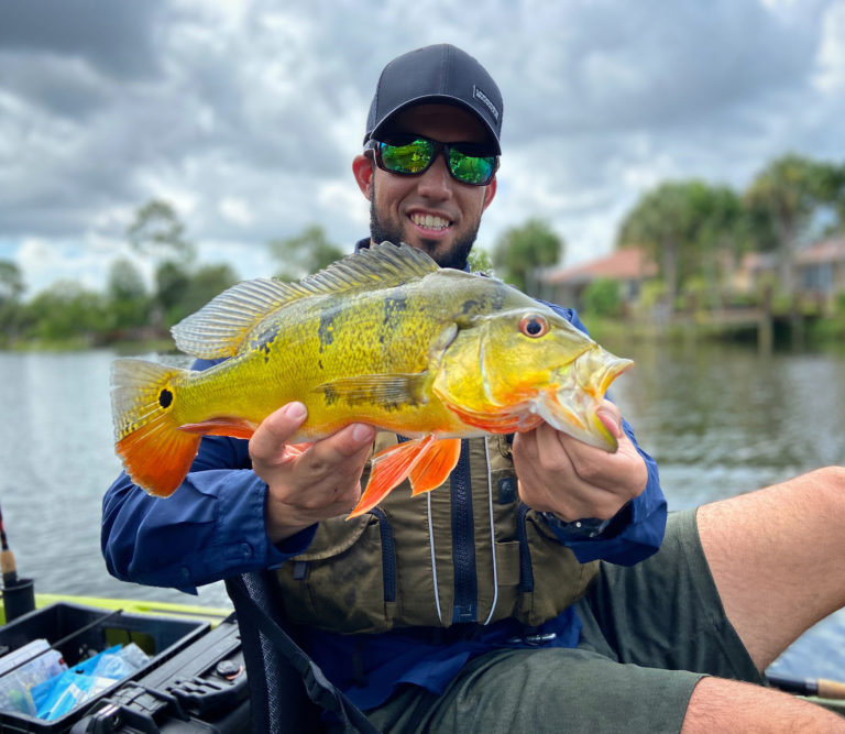 Southwest Florida Peacock Bass Fishing | Kayak Fishing Charters