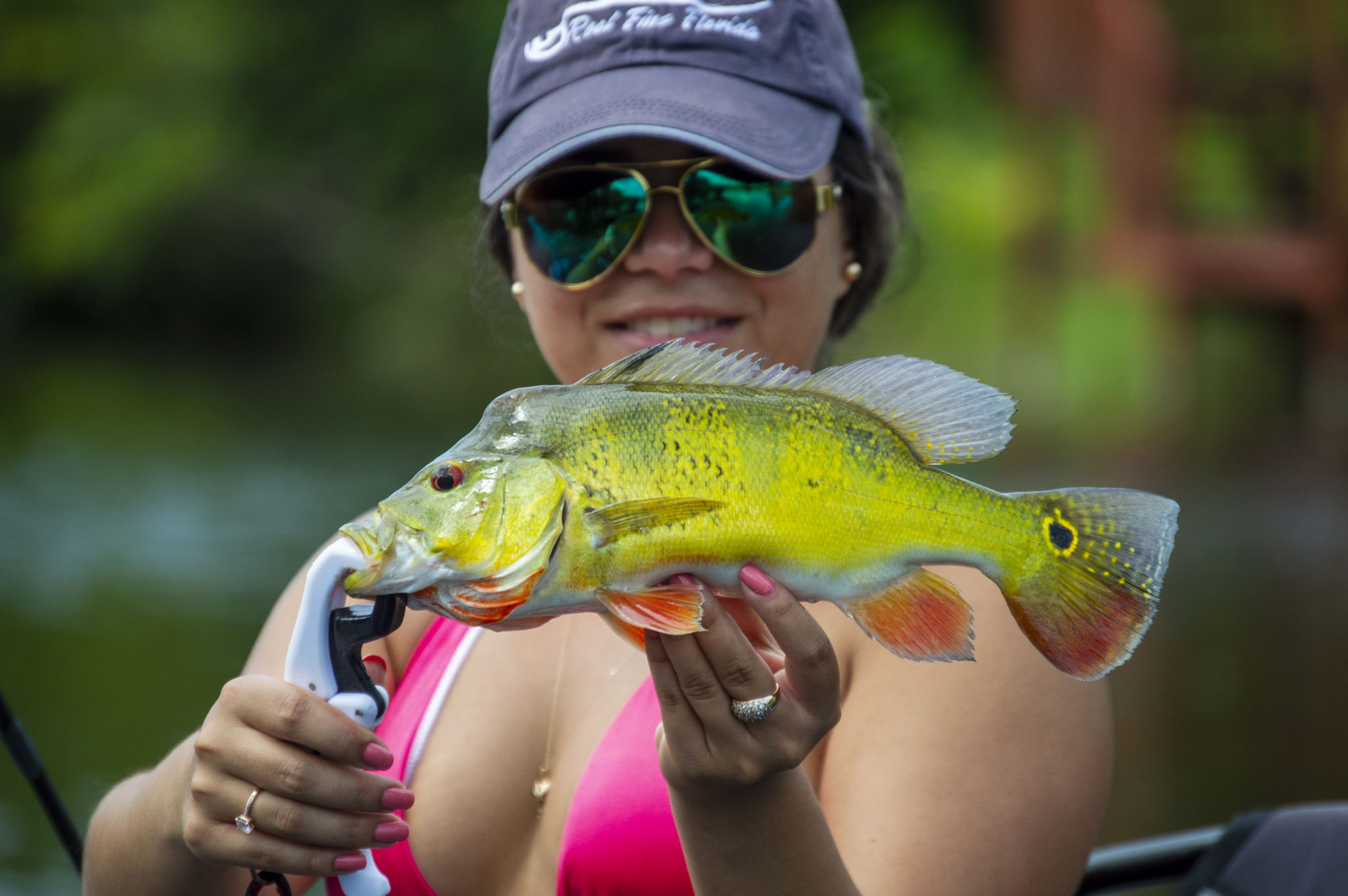 Peaock Bass Fishing in Southwest Florida | Kayak Fishing ...